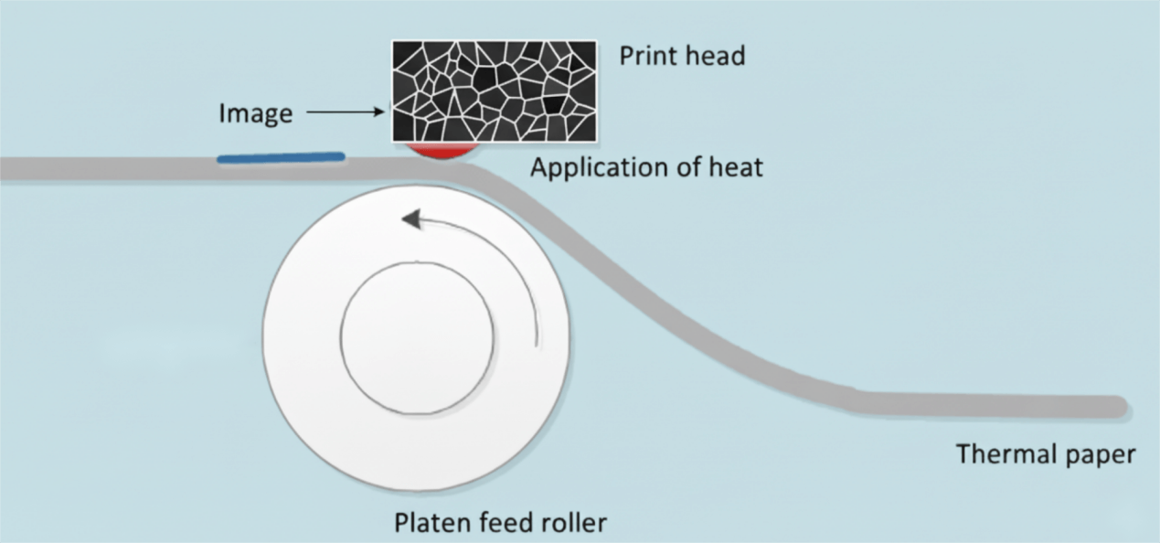 Diagram showing thermal printing process with print head applying heat to thermal paper via platen roller Diagram showing thermal printing process with print head applying heat to thermal paper via platen roller