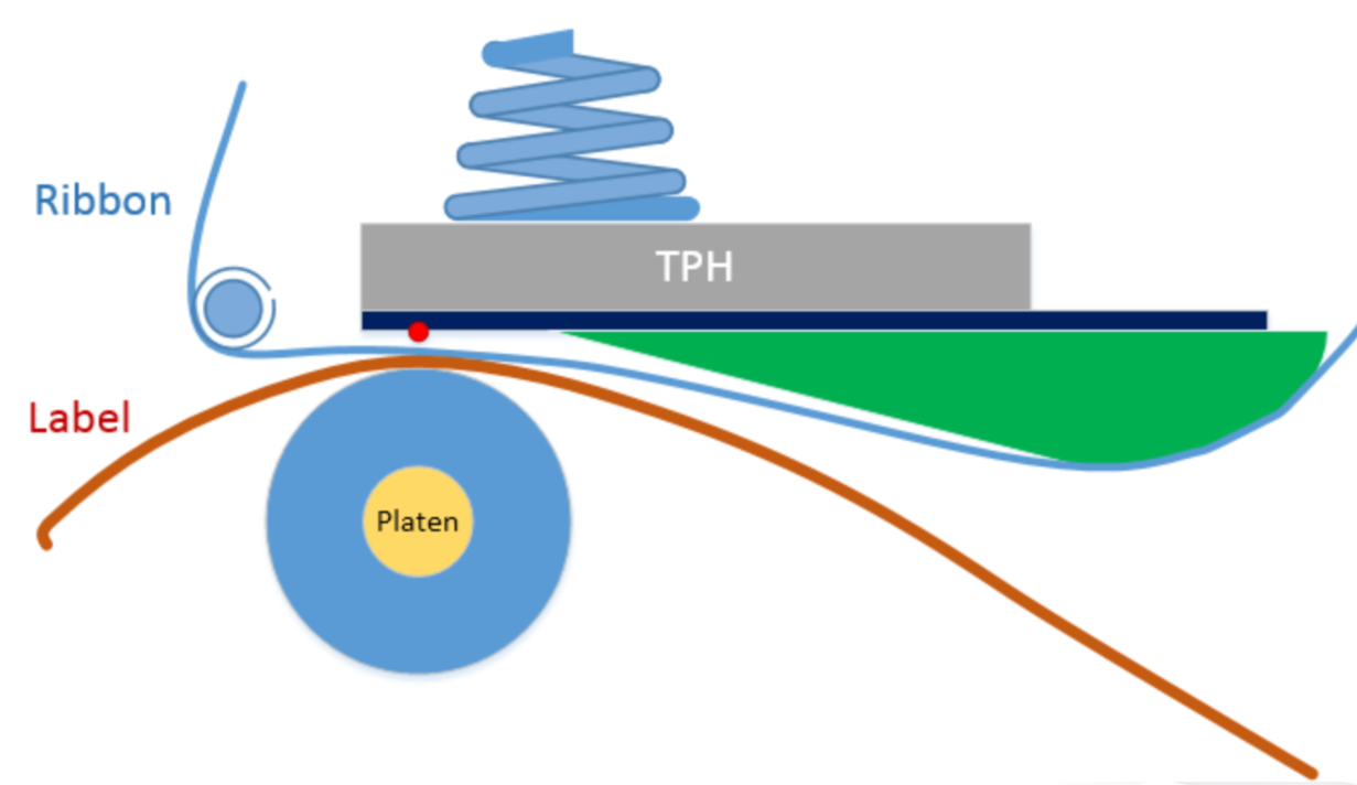 Diagram of thermal transfer printing process showing ribbon, label, platen roller, and thermal print head Diagram of thermal transfer printing process showing ribbon, label, platen roller, and thermal print head