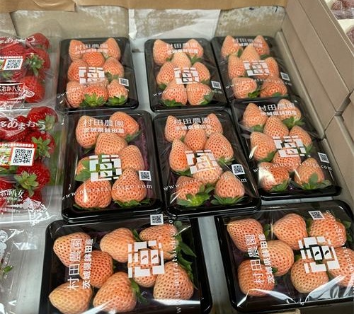 fresh produce fresh produce